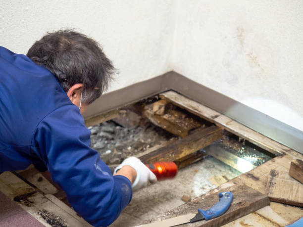 Best Mold Testing  in St Francisville, LA