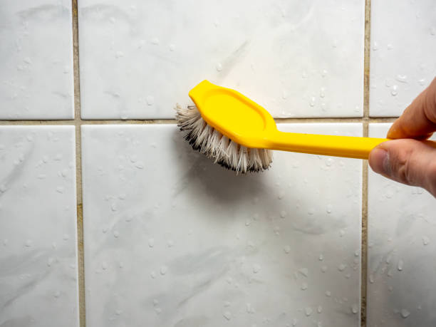 Best Professional Mold Removal  in St Francisville, LA