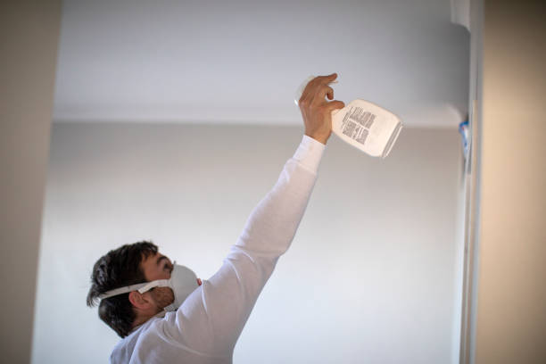 Attic Mold Removal in St Francisville, LA