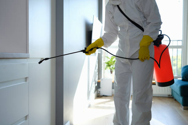 Office Mold Removal Services in St Francisville, LA