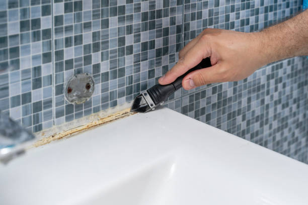 Certified Mold Removal in St Francisville, LA