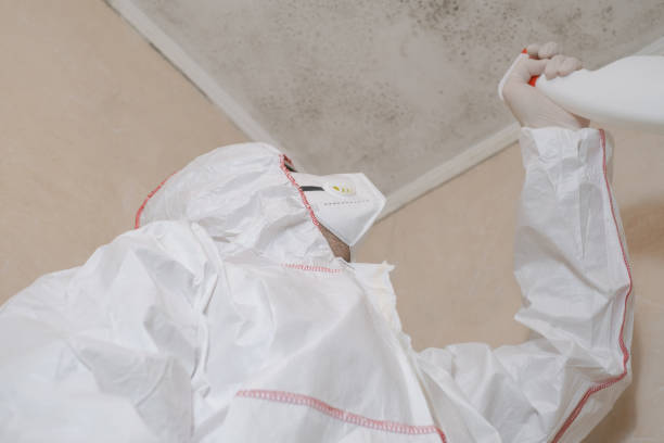 Best Mold Removal Near Me  in St Francisville, LA