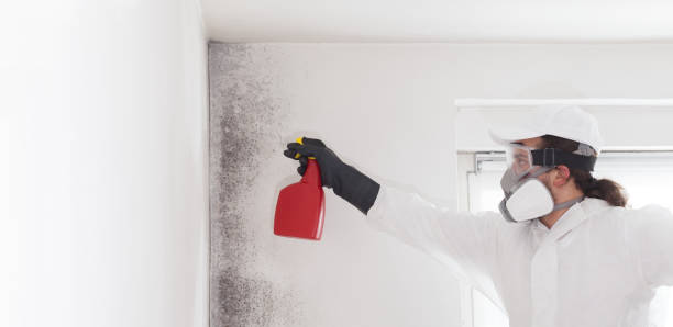Best Emergency Mold Removal  in St Francisville, LA