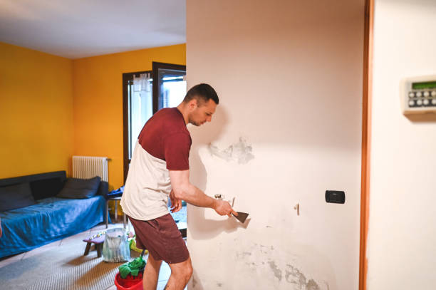 Best Mold Remediation Services  in St Francisville, LA